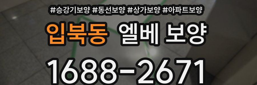 입북동 엘베 보양