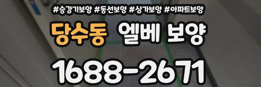 당수동 엘베 보양