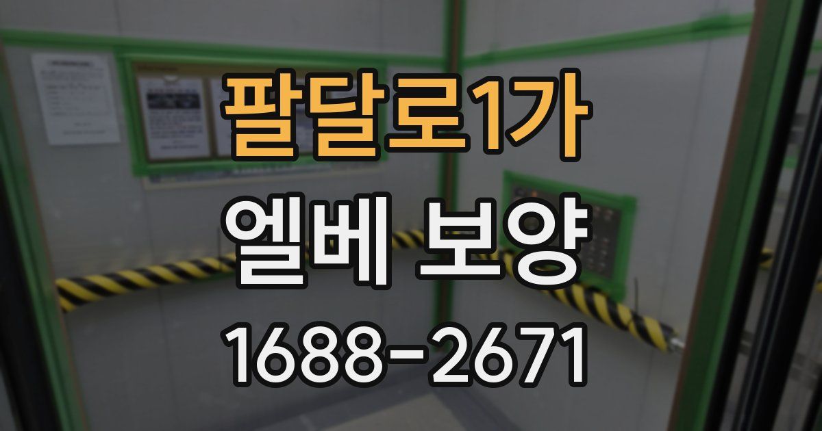 팔달로1가 엘베 보양