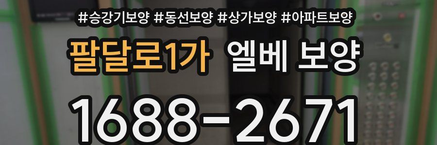 팔달로1가 엘베 보양