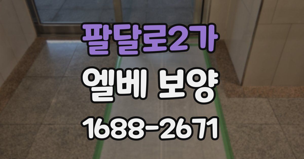 팔달로2가 엘베 보양