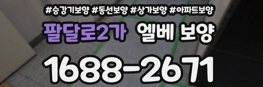 팔달로2가 엘베 보양