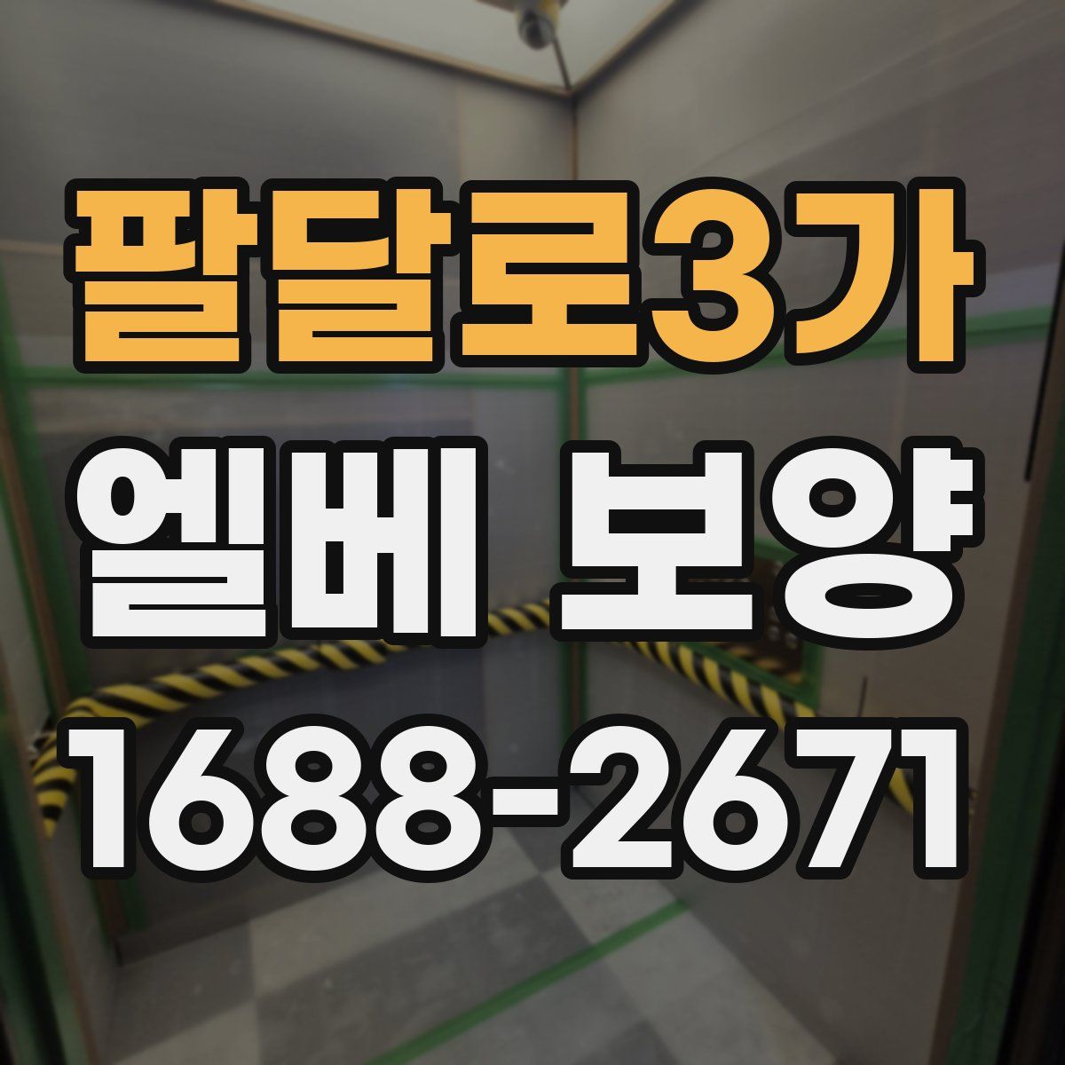 팔달로3가 엘베 보양