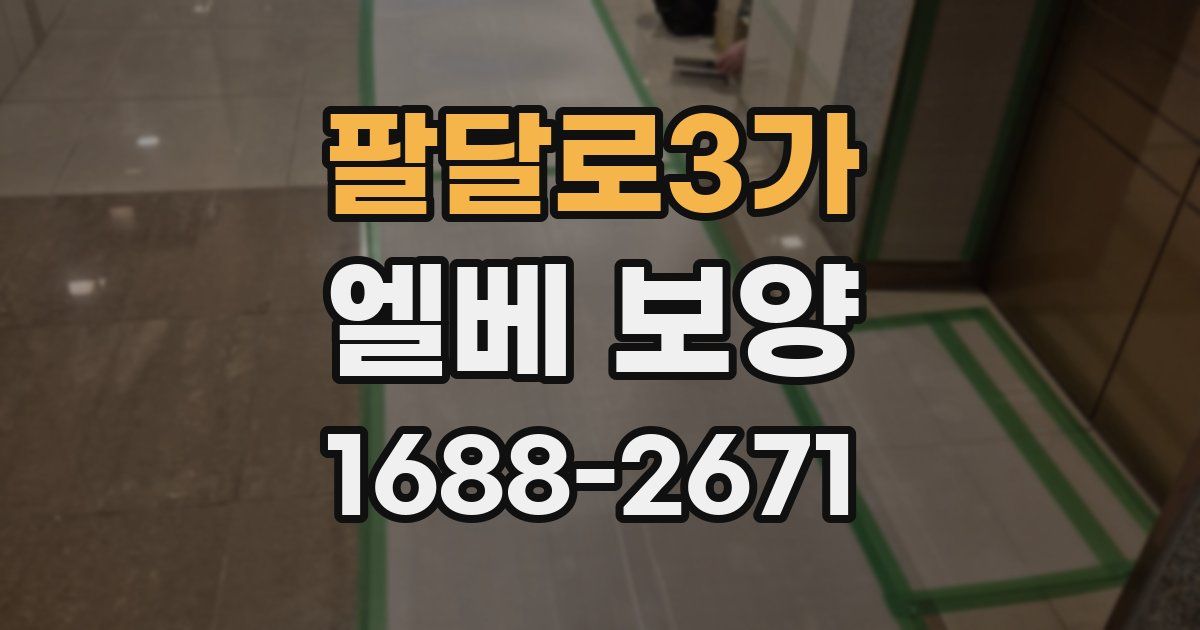 팔달로3가 엘베 보양