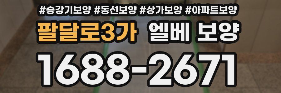 팔달로3가 엘베 보양