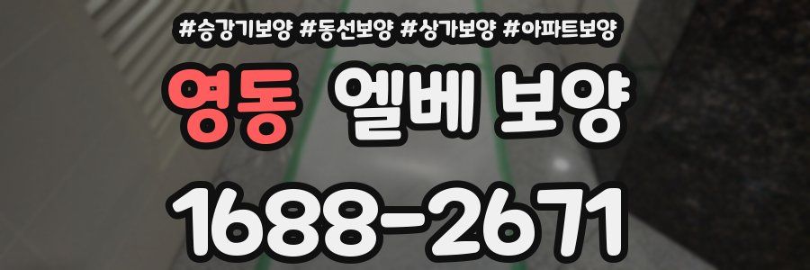 영동 엘베 보양