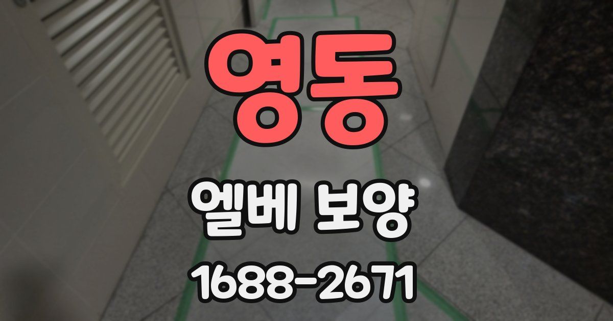 영동 엘베 보양