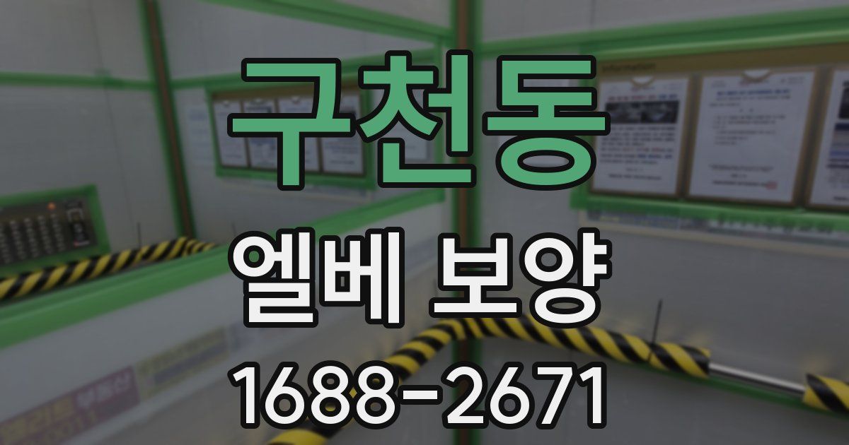 구천동 엘베 보양
