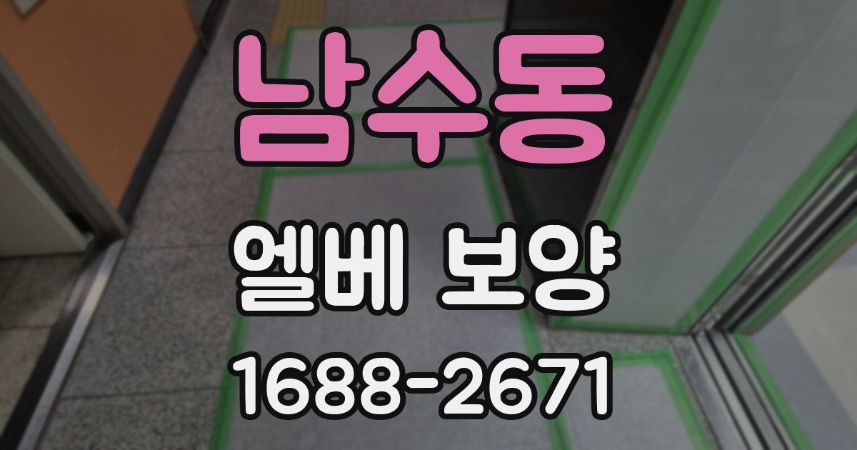남수동 엘베 보양