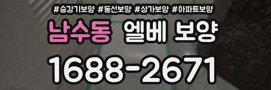 남수동 엘베 보양