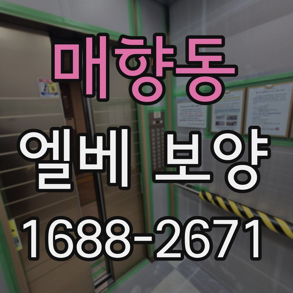 매향동 엘베 보양 시트와 판넬을 나눠 쓰는 기준
