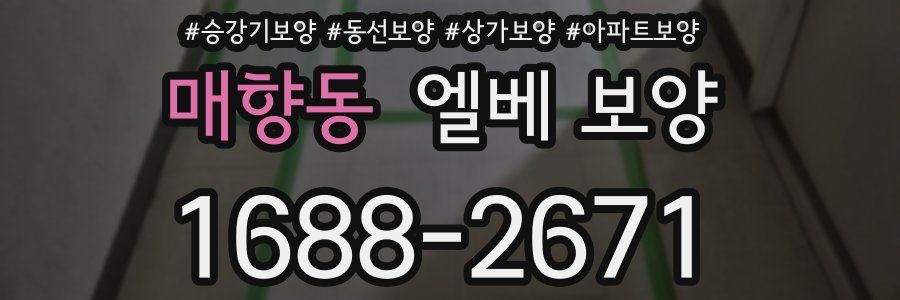 매향동 엘베 보양