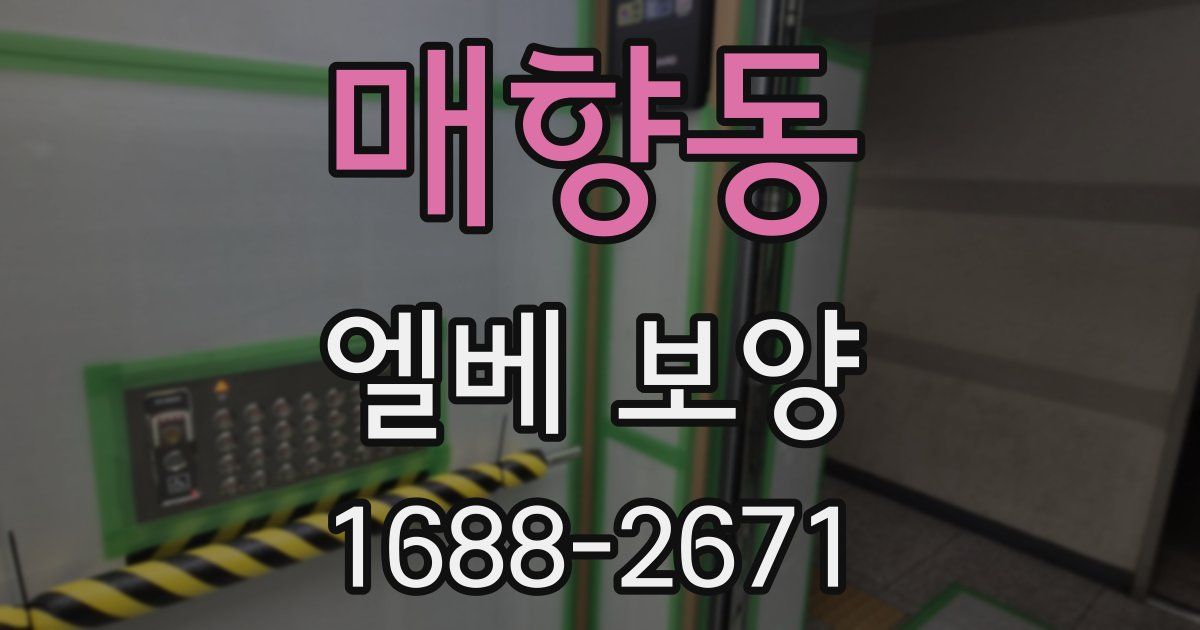 매향동 엘베 보양