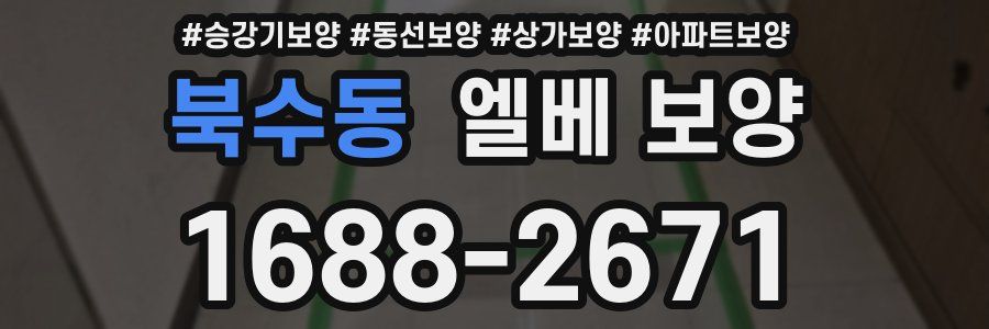 북수동 엘베 보양