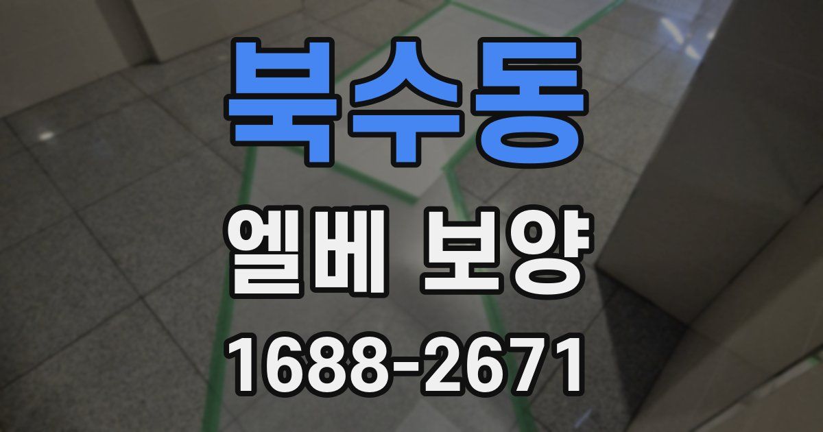 북수동 엘베 보양