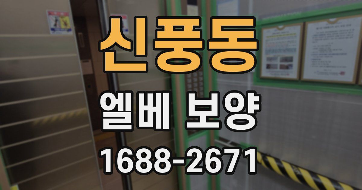 신풍동 엘베 보양
