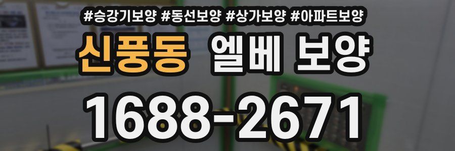 신풍동 엘베 보양