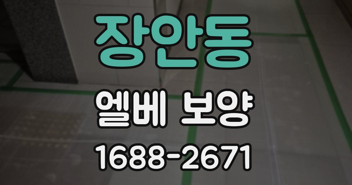 장안동 엘베 보양
