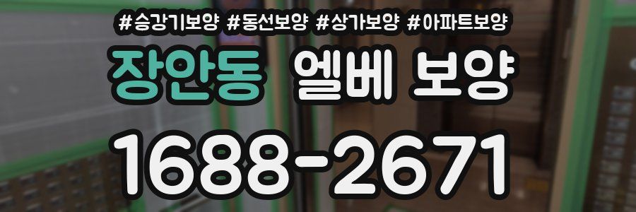 장안동 엘베 보양