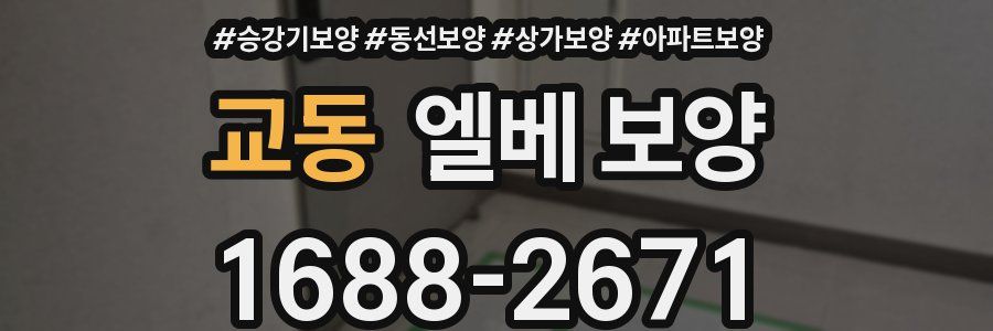 교동 엘베 보양