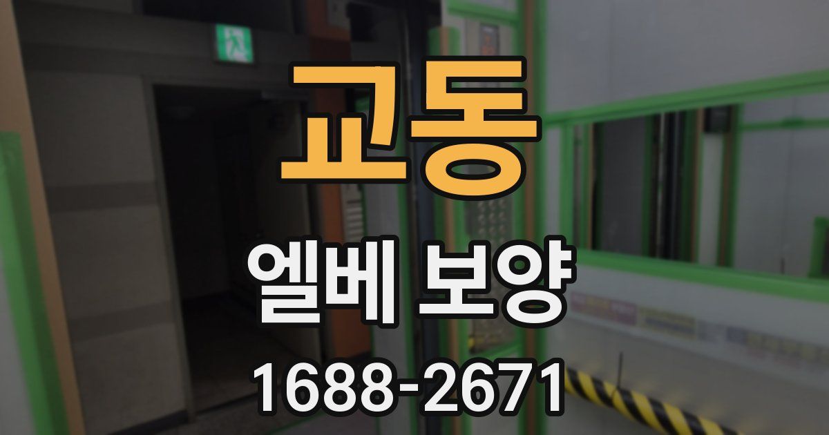 교동 엘베 보양