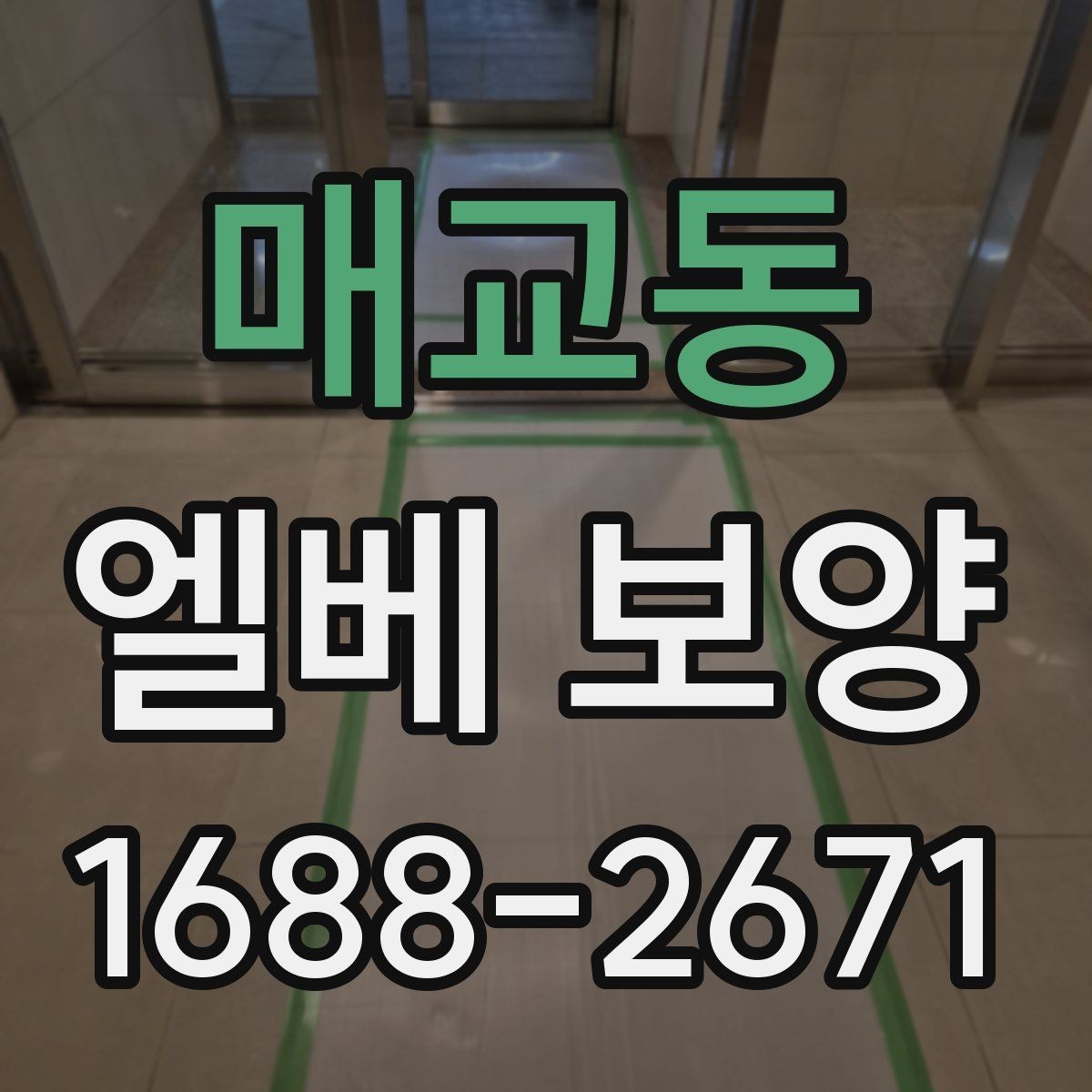 매교동 엘베 보양 공용부 동선이 겹칠 때 먼저 볼 구간