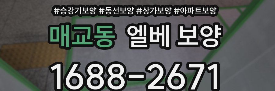매교동 엘베 보양