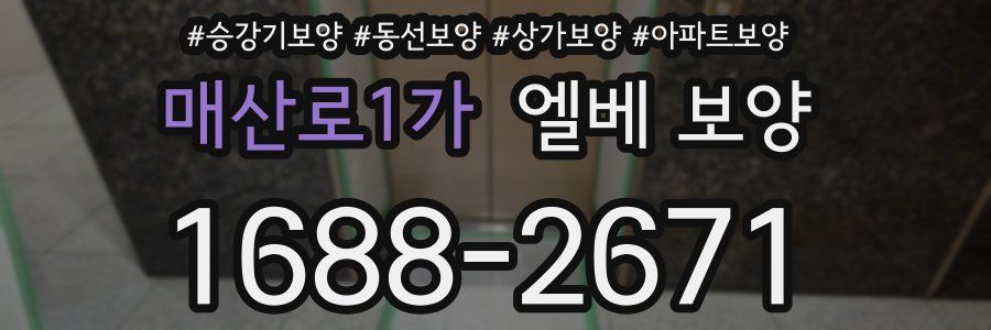 매산로1가 엘베 보양