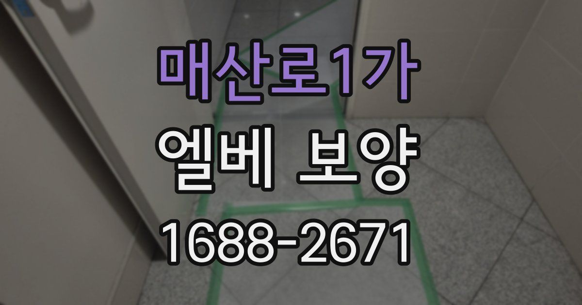 매산로1가 엘베 보양