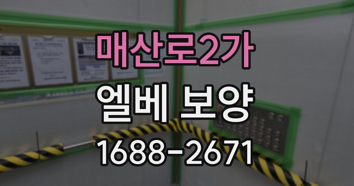 매산로2가 엘베 보양