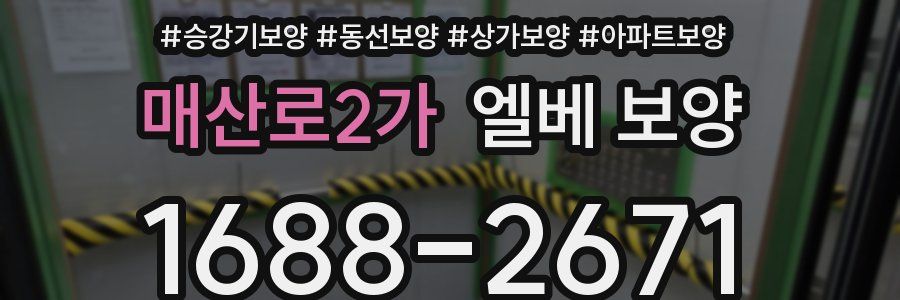 매산로2가 엘베 보양