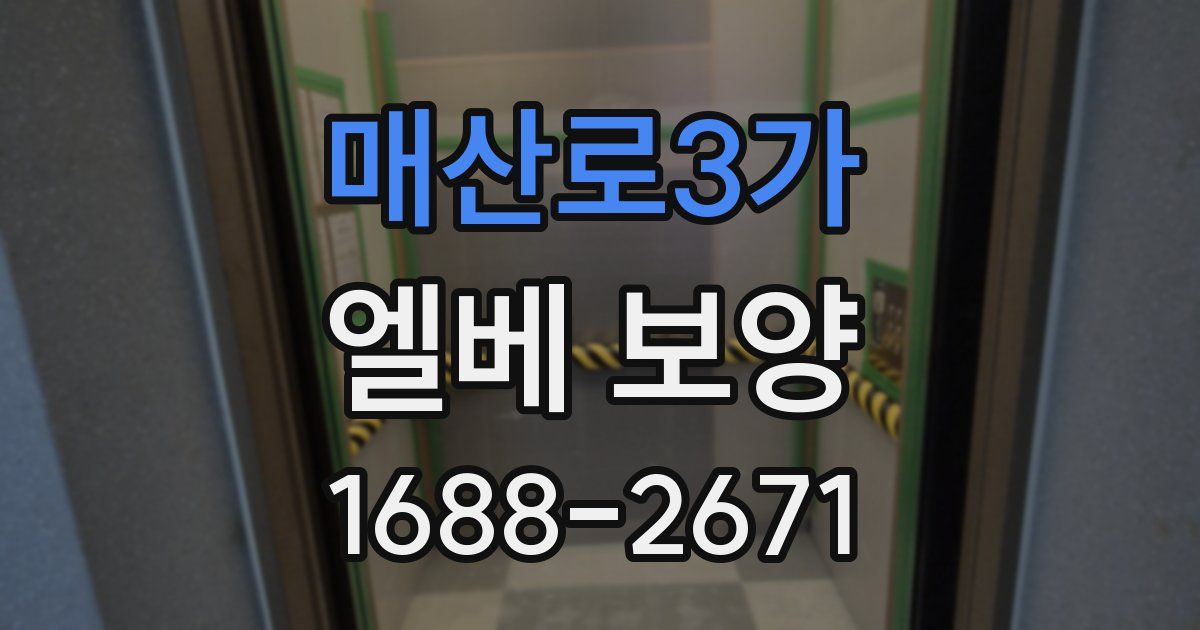 매산로3가 엘베 보양