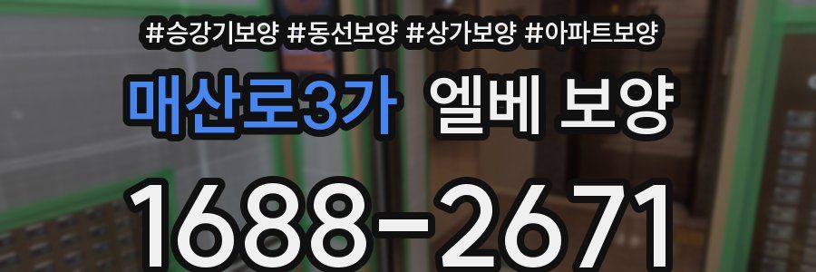 매산로3가 엘베 보양