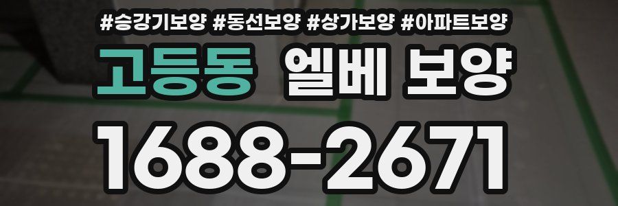 고등동 엘베 보양