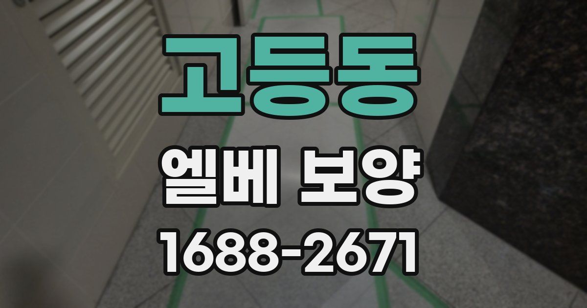 고등동 엘베 보양
