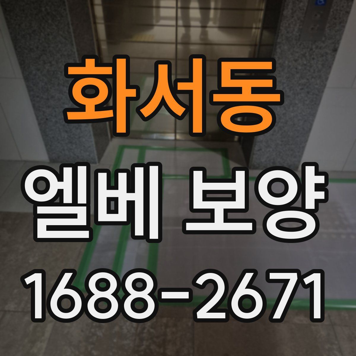 화서동 엘베 보양
