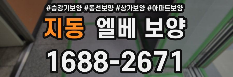 지동 엘베 보양