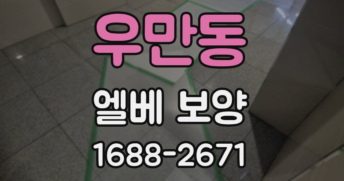우만동 엘베 보양