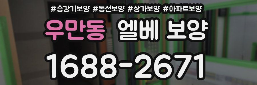 우만동 엘베 보양