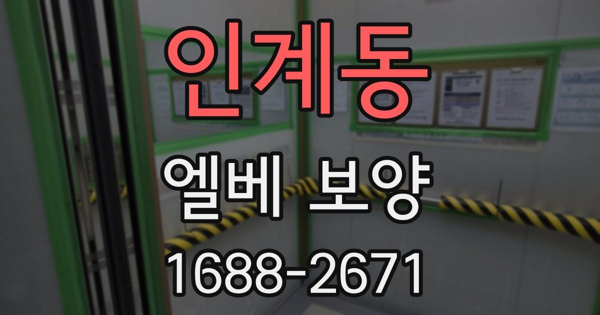 인계동 엘베 보양