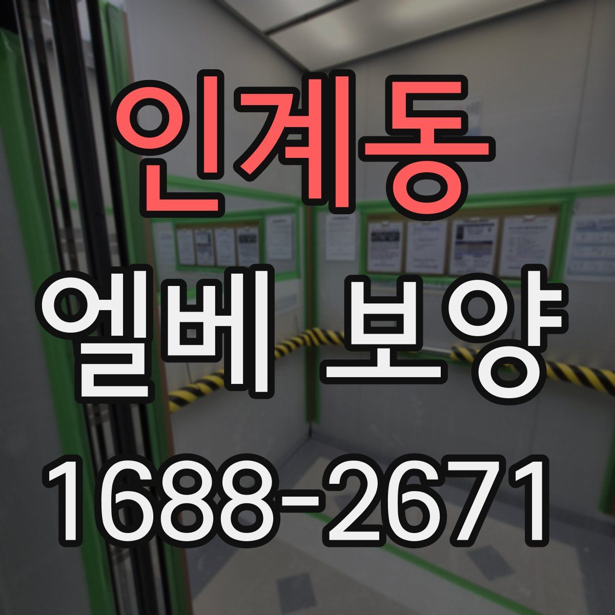 인계동 엘베 보양