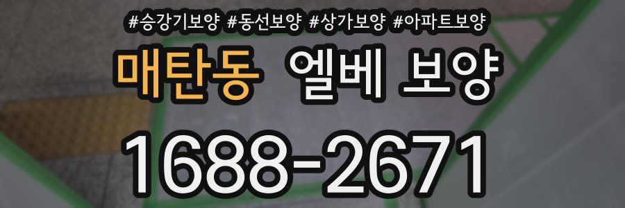 매탄동 엘베 보양