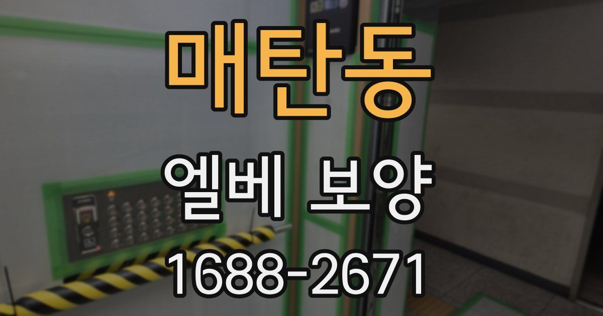 매탄동 엘베 보양