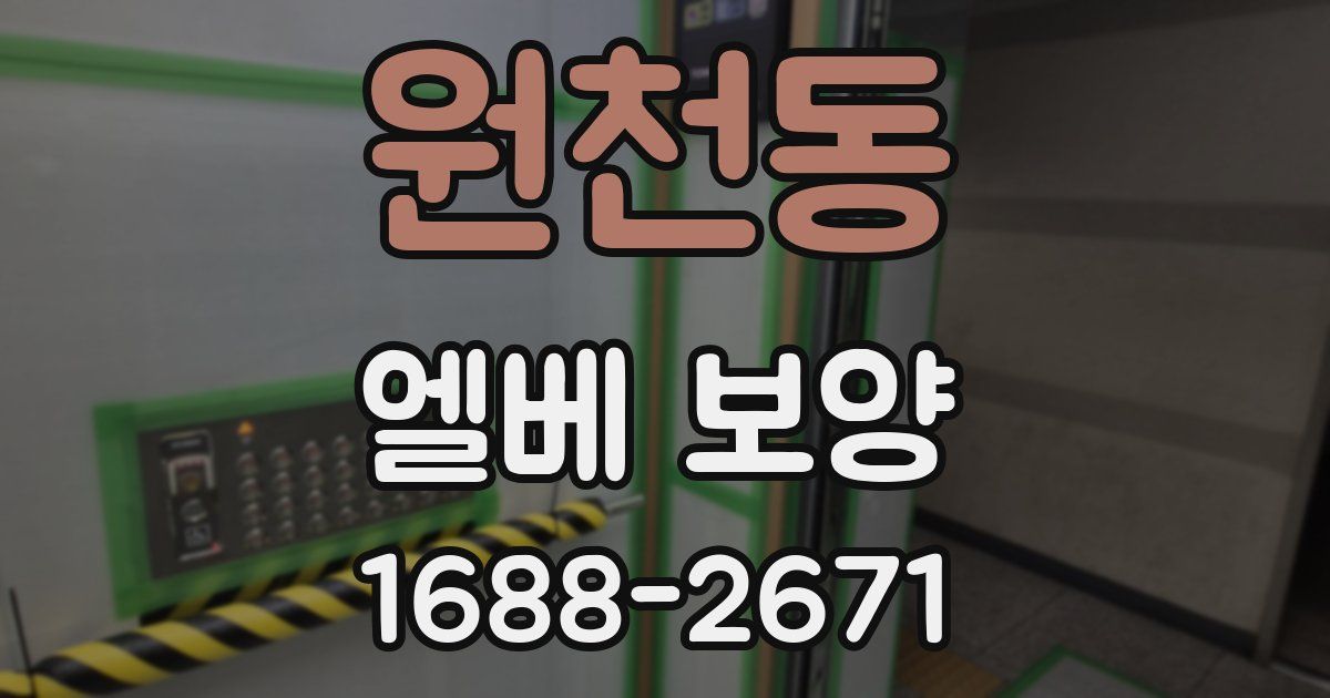 원천동 엘베 보양