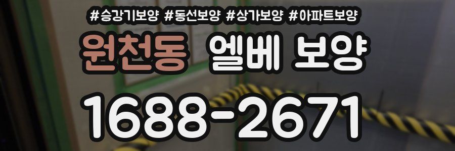 원천동 엘베 보양