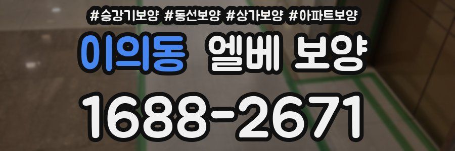 이의동 엘베 보양