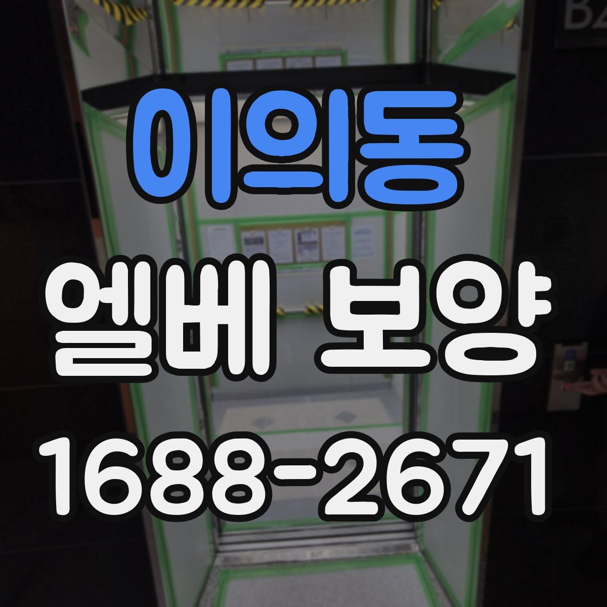 이의동 엘베 보양