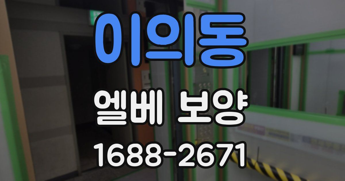 이의동 엘베 보양