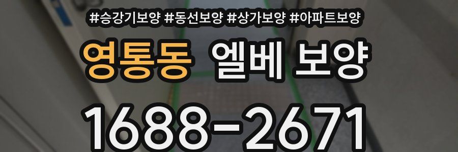 영통동 엘베 보양