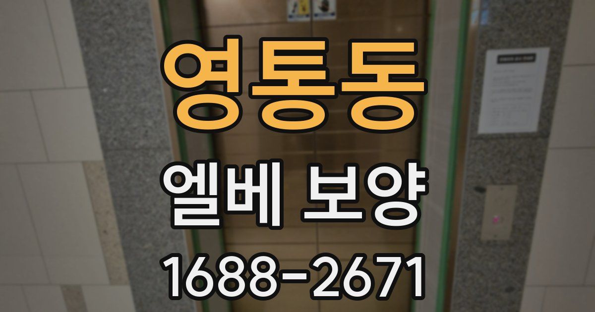 영통동 엘베 보양
